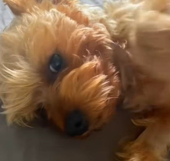 T1501017 He didn’t know rescue was possible—only that staying alive hurt less than giving up.