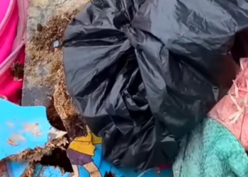 T1501027 His body shook, but his spirit kept whispering: “Not yet.”