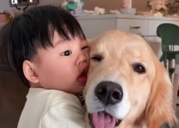 T0501016 Weak legs, wounded skin, and a heart still beating.