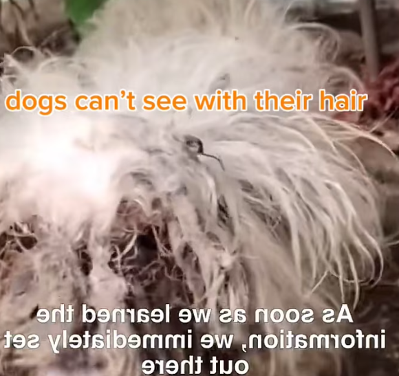 T1501038 Left behind, but not forgotten by fate.