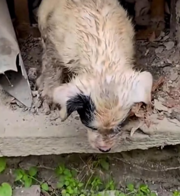 T1501039 Sometimes survival means enduring one more painful second.