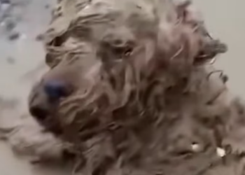 T0501017 Pain taught him how fragile life can be.