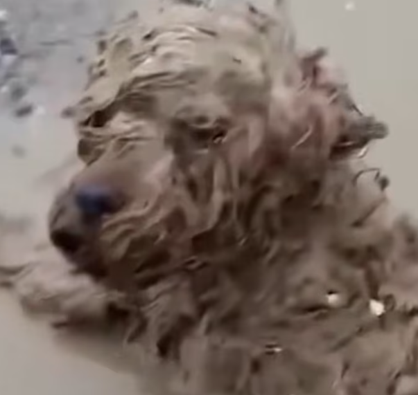 T0501017 Pain taught him how fragile life can be.