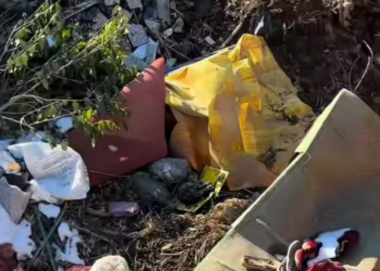 T1901031_Stuck on a cruel trap, slowly losing strength… this kitten was running out of time 😢 #kittenrescue #animalcare