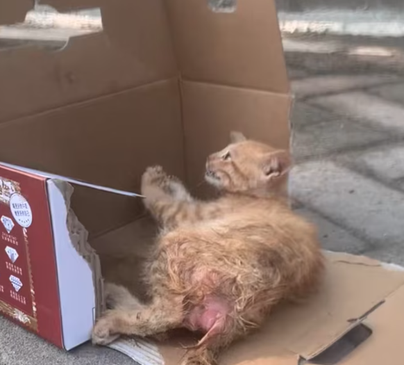 T0501020 He didn’t know what help looked like anymore.