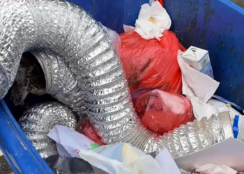 T1901039_Discarded like trash, these baby birds still believed someone would help 😢 #animalrescue #wildlife