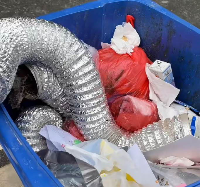 T1901039_Discarded like trash, these baby birds still believed someone would help 😢 #animalrescue #wildlife