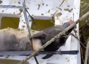 T0501023 The ground was cold… and so was fate.