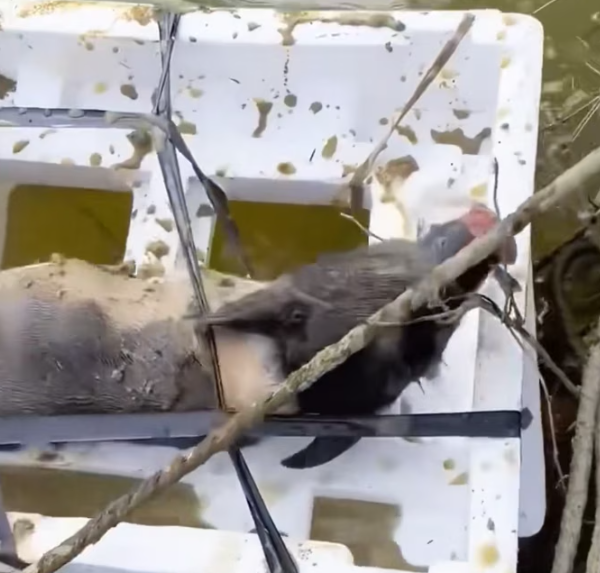 T0501023 The ground was cold… and so was fate.