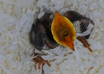 T0501025 Every second alone felt endless.