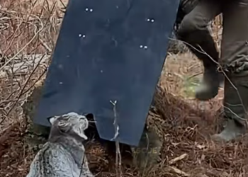 T0501026 He waited, not knowing if anyone would come.