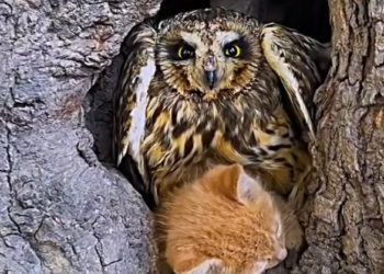 T0501029 The road showed no mercy that day.