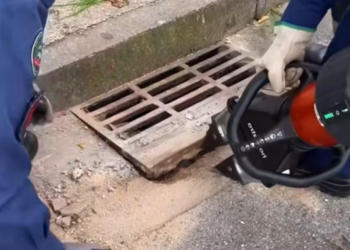 T2601038,Fallen into danger and unable to escape this capybara relied on human kindness 😢 #animalrescue #wildlife