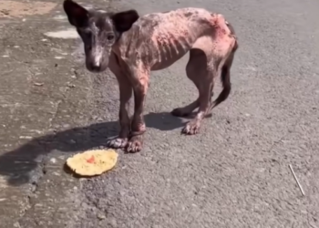 T0501032 Left behind where hope rarely visits.