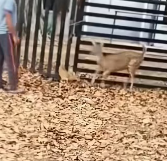 T0501034 Silence became his only companion.