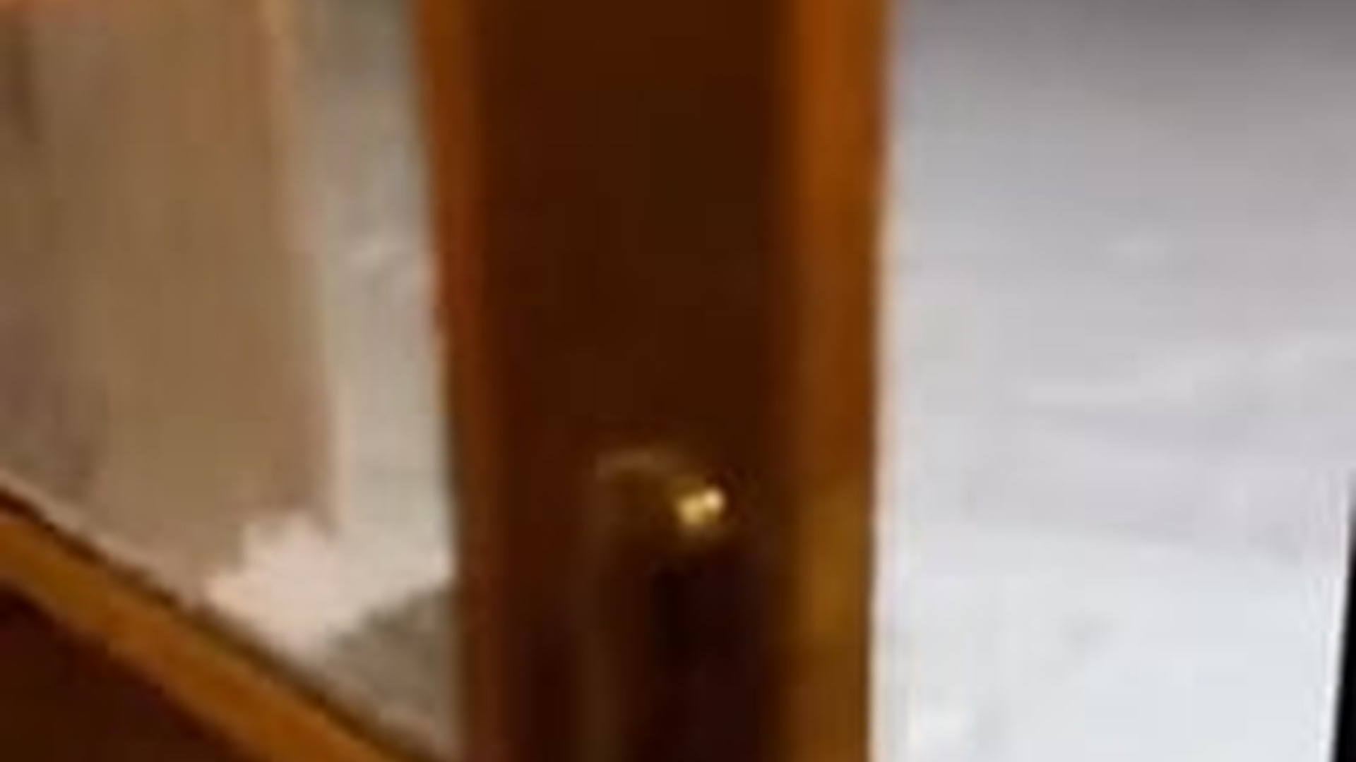 T1404015_Mother Wolf Gave Him Her Baby to Save It #rescue #wholesome #an...