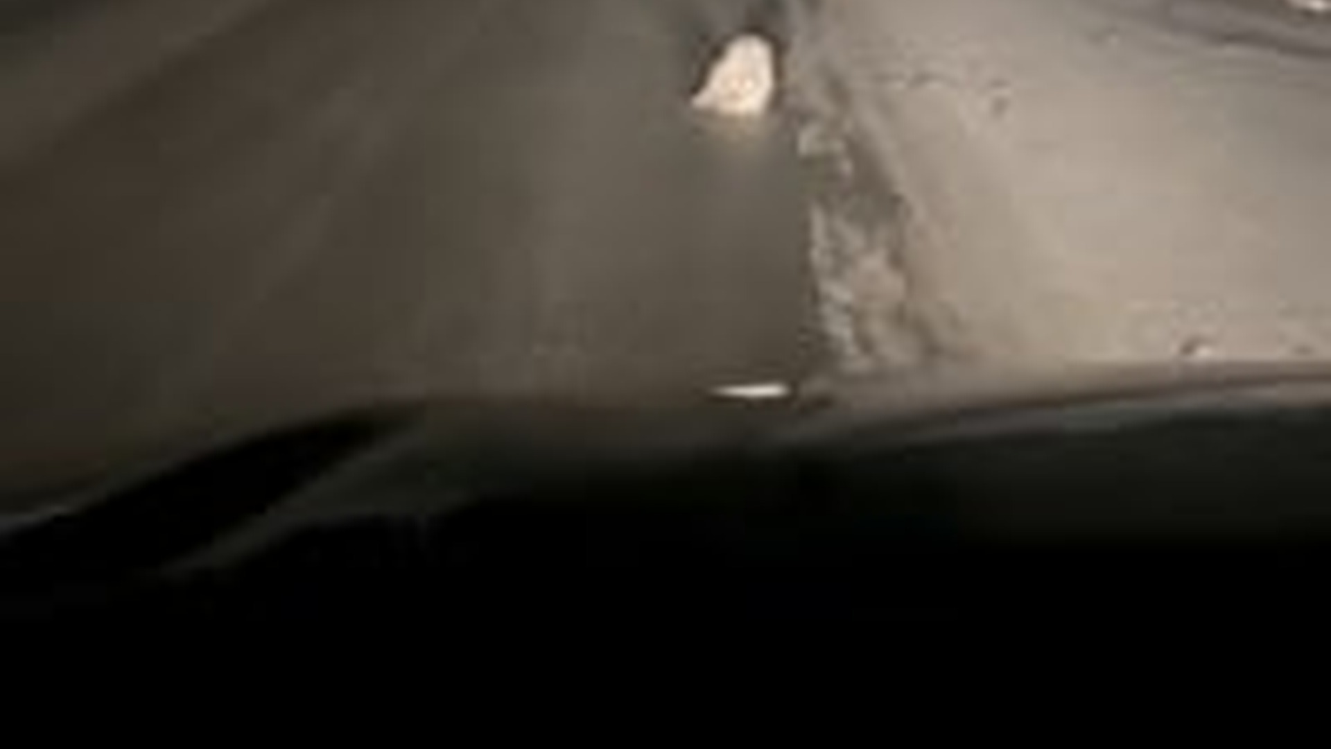 T1404019_injured owl was adopted by girl after being injured on ro...