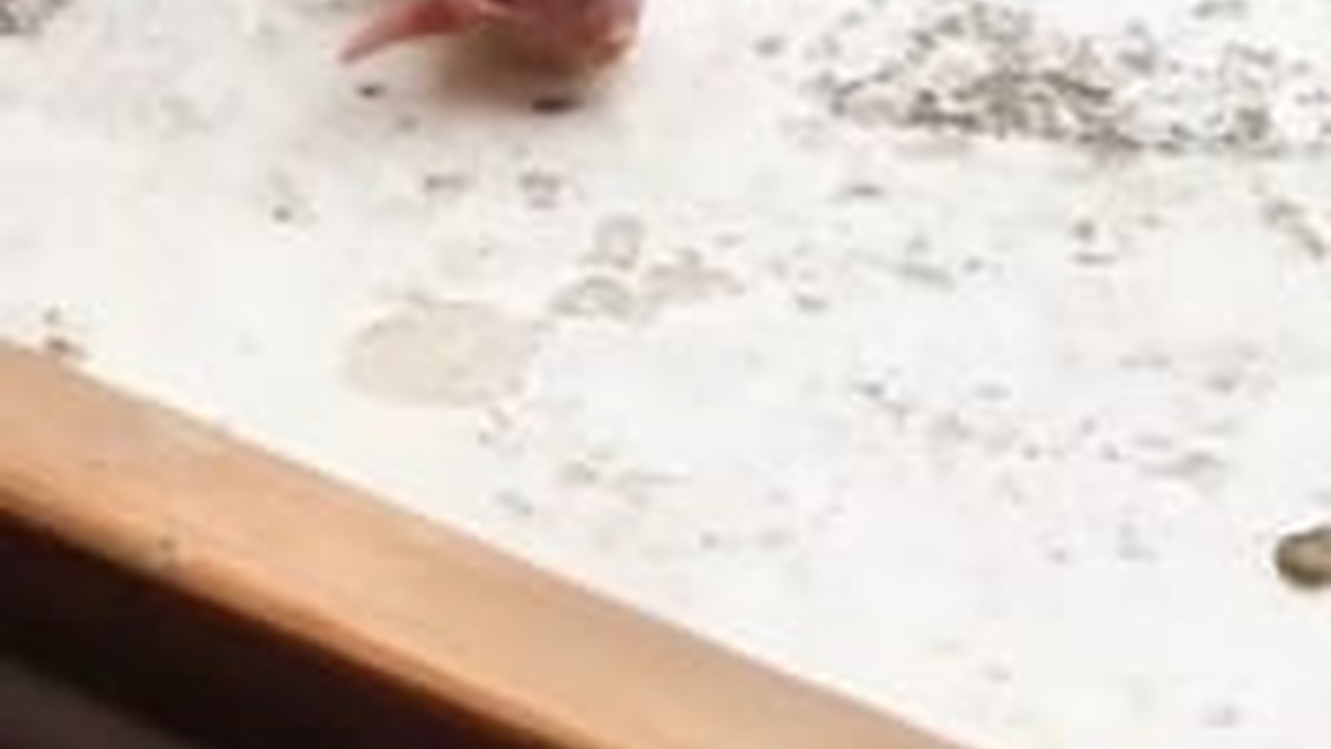 T1803027_man found baby without mother then happened #animal...