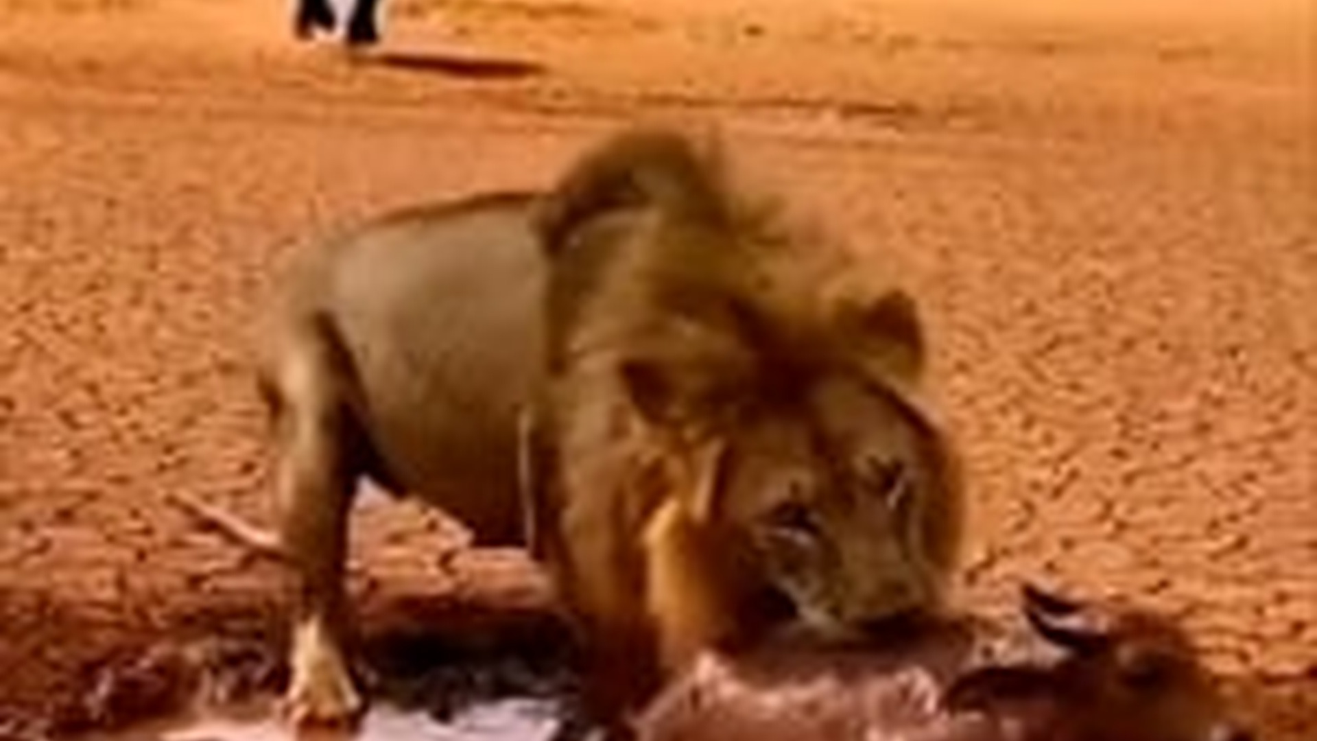 T0104018_আর গর লড়