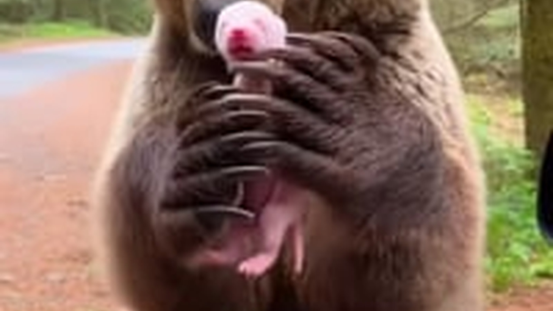 T0104025_Check out bio exclusive content! #wholesome #animals