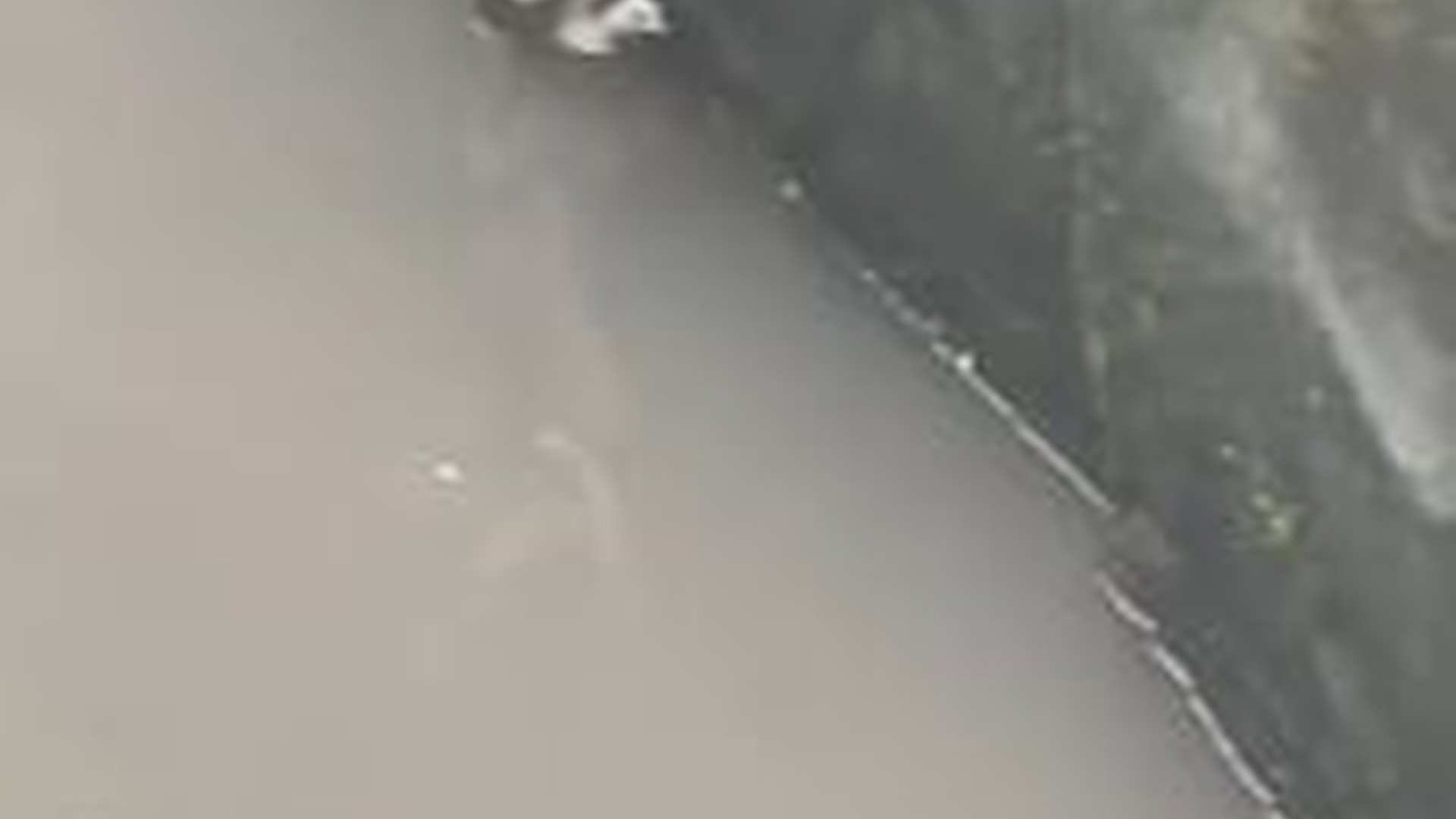 T1104007_Man Rescued kitten Hanging on to dear Life above River