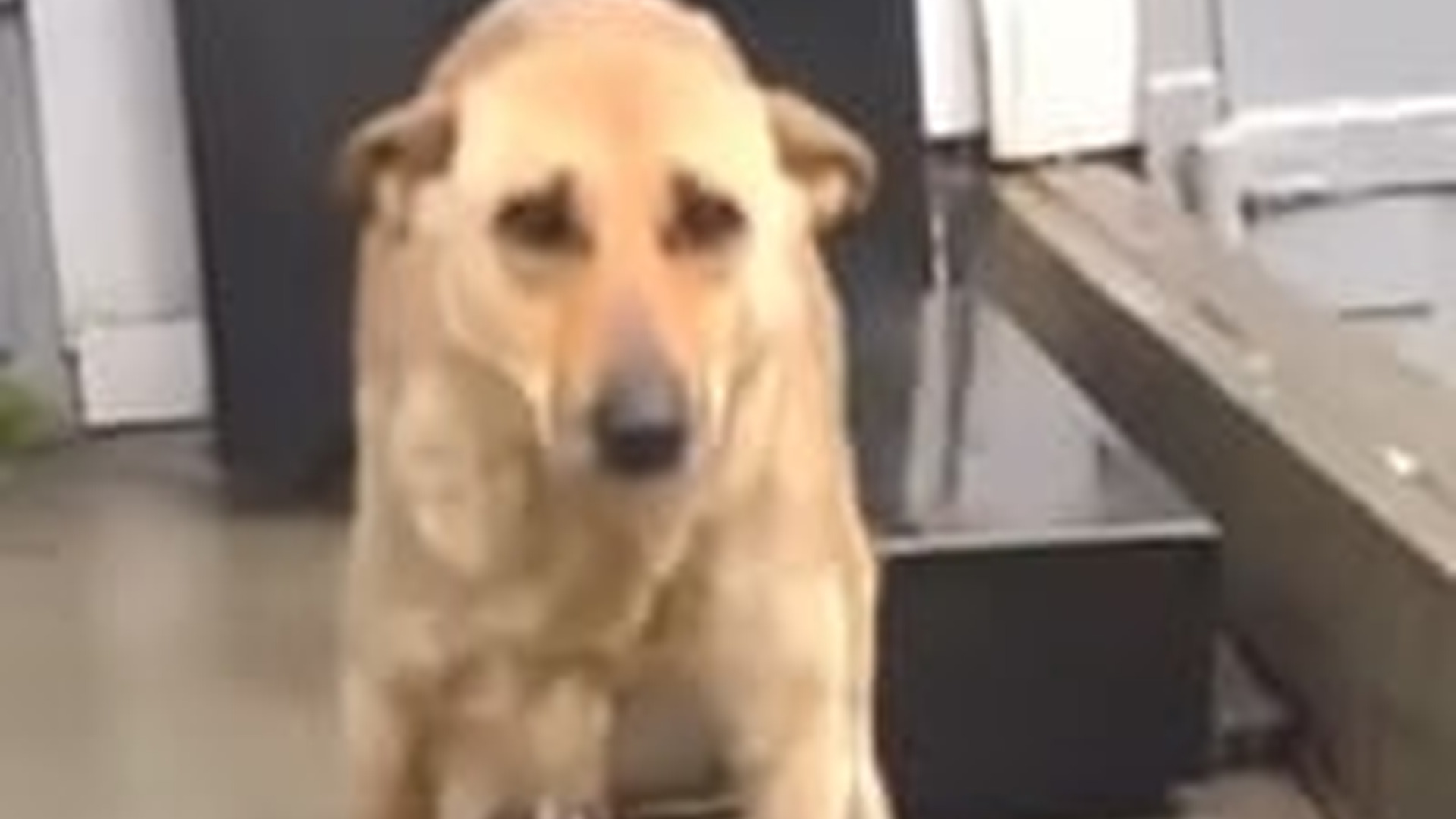 T1104027_She Faced Years of Survival Illness on Streets Before Finally Receiving Care Hope