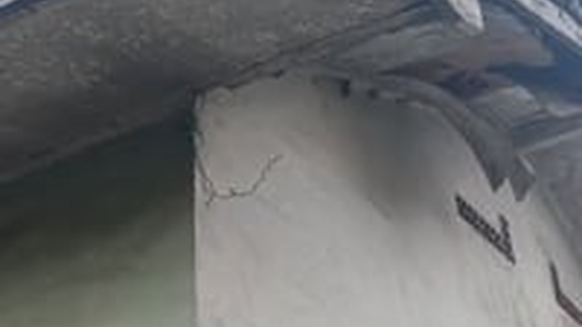 T1304018_Penghuni pelapon Tua ##catstory #CAT #sadstory