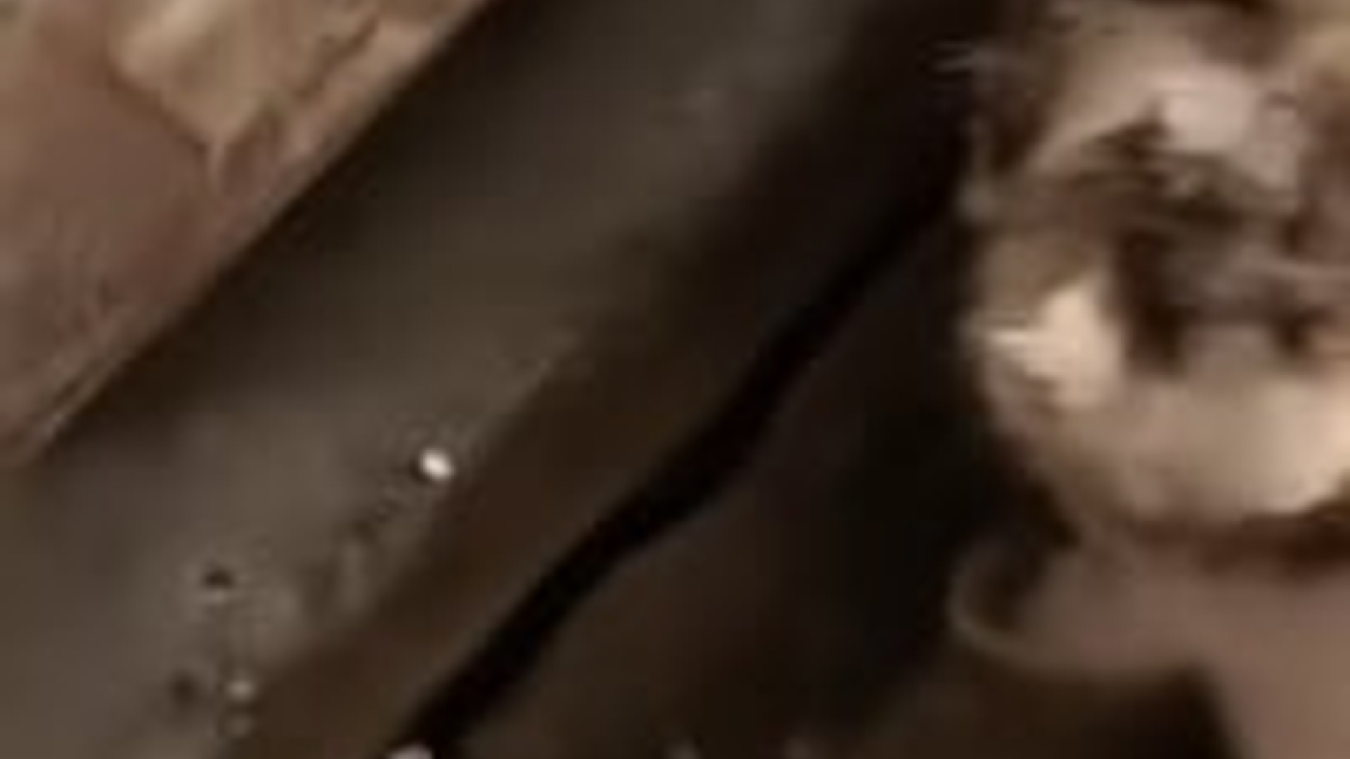 T1304024_#cat #catvideo #cats #catsoftiktok #catcute (1)