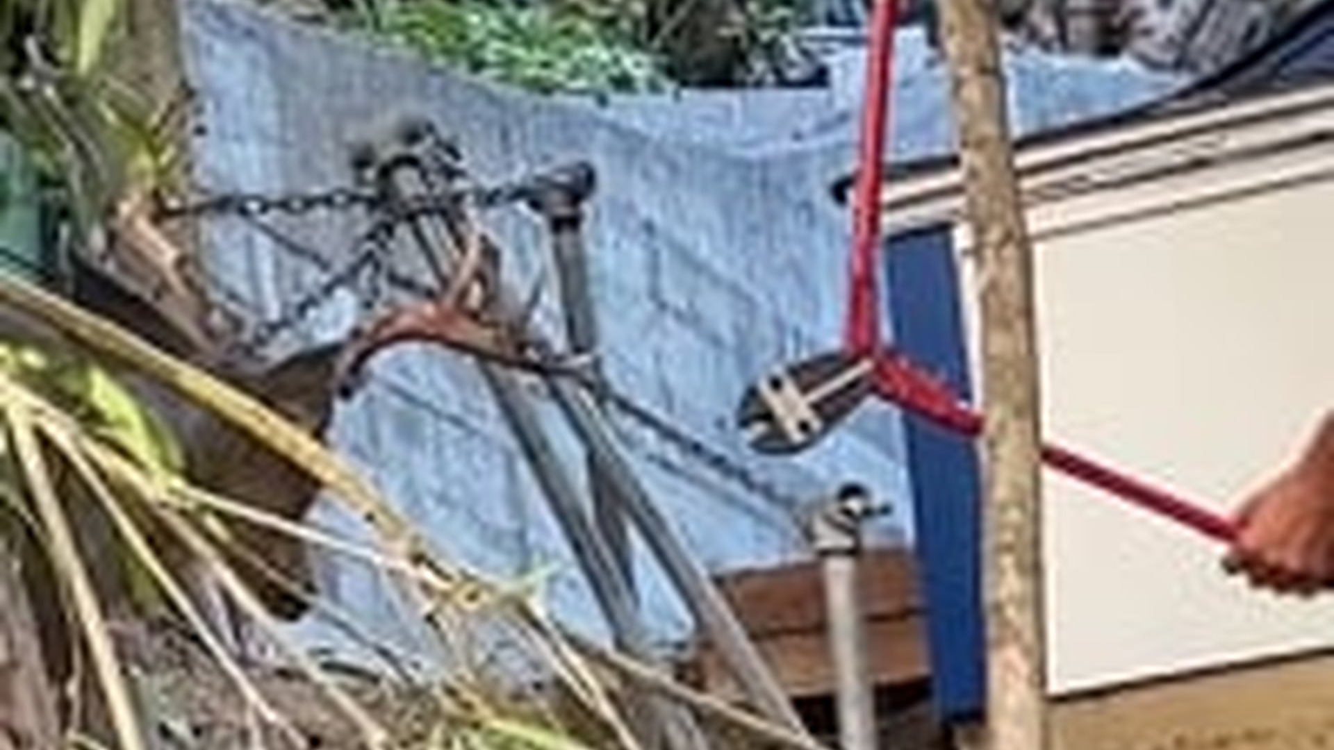 T1105030_Poor thing